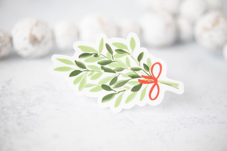 May include: A green and white mistletoe sprig with a red ribbon tied around it. The mistletoe is a traditional Christmas decoration.