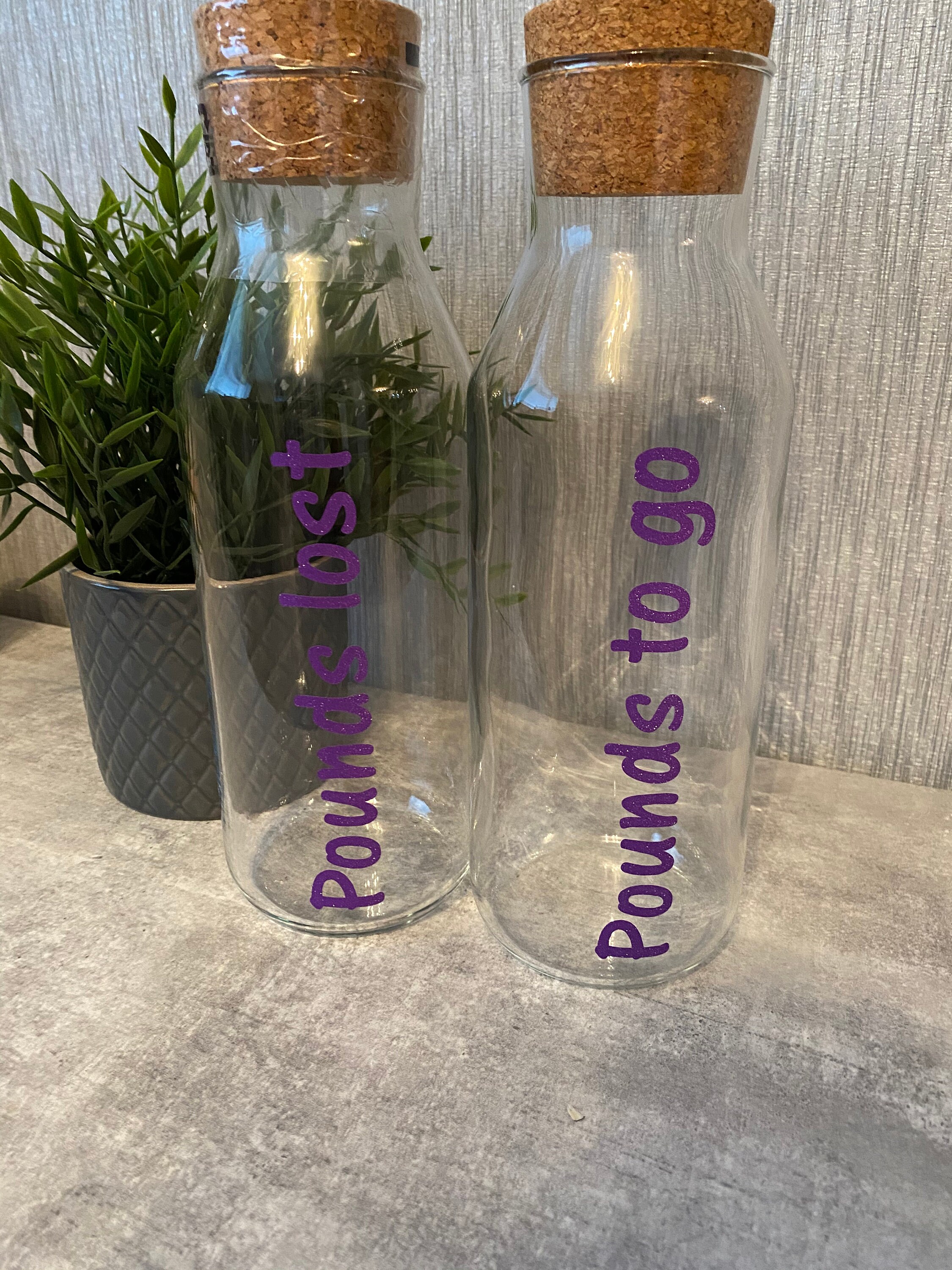 Custom Weight Loss Jars Glass Jar with Cork Lid Glass Etsy