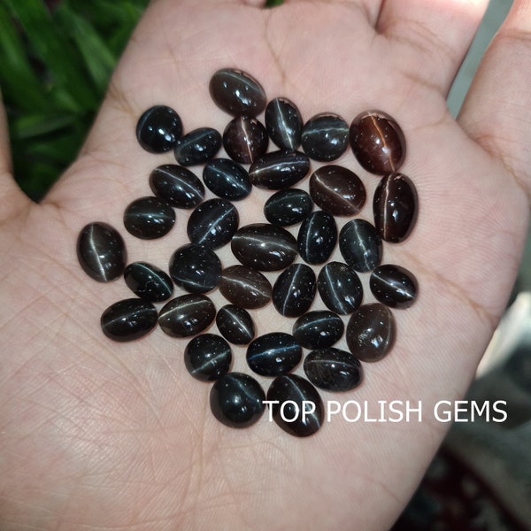 Natural Star Sulemani Cats Eye Oval Cut Stones, AAA Quality Loose Cats Eye Stone, Tailles: 7-9mm, Non traité et bien poli