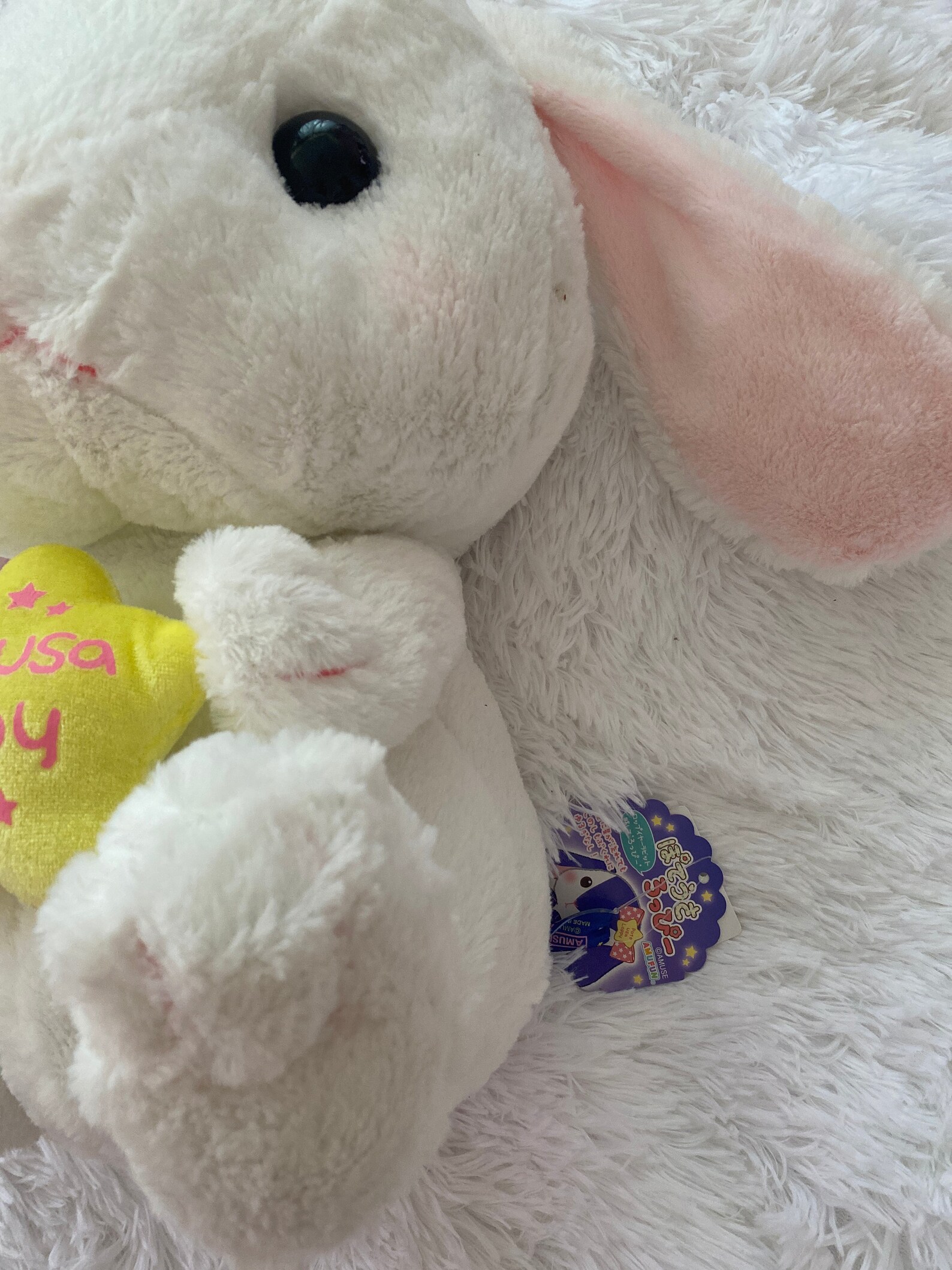 amuse loppy