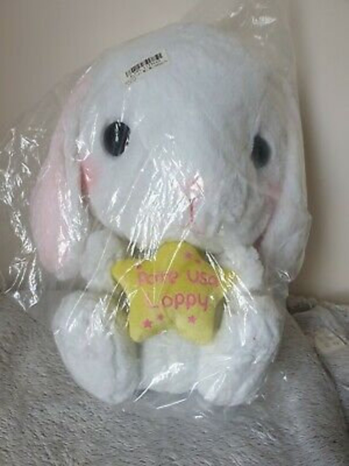 amuse loppy