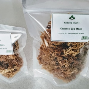Dr Sebi Grade Sea Moss Organic & Wildcrafted by Nature Earth image 5