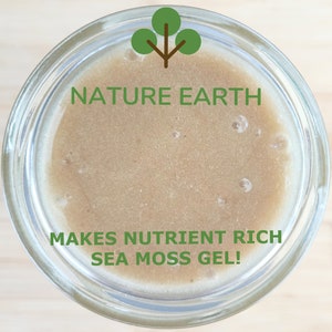 Dr Sebi Grade Sea Moss Organic & Wildcrafted by Nature Earth image 2