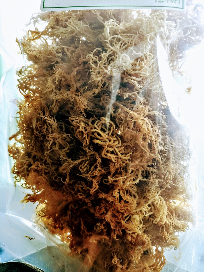 Dr Sebi Grade Sea Moss Organic & Wildcrafted by Nature Earth image 6