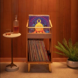 Armoire pour disques vinyles en noyer | Rangement pour LP Mid-Century moderne | Plus de 120 records