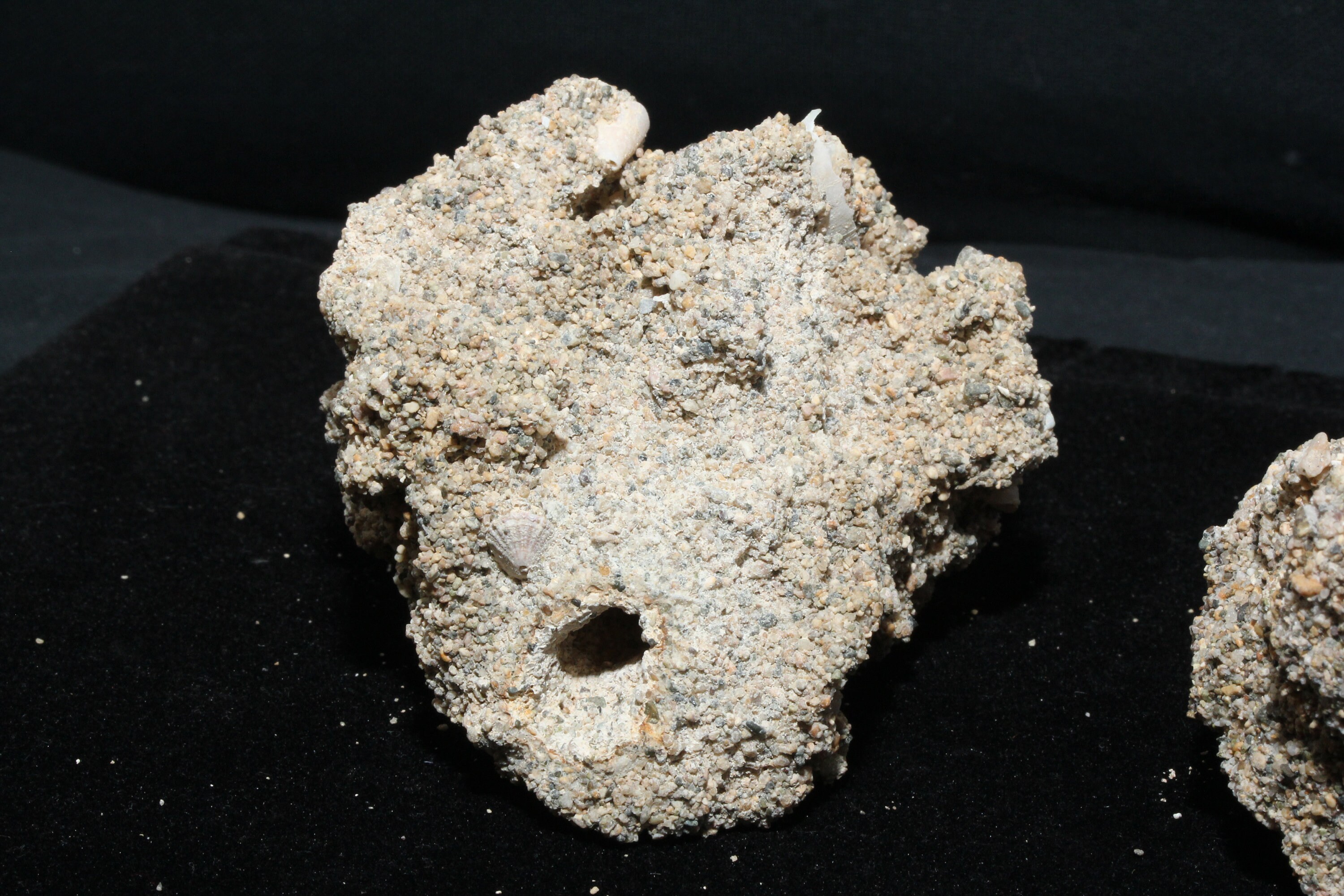 2 Fulgurite Lightning Sand Glass Tubes 4 to 5 Inches Natural Etsy