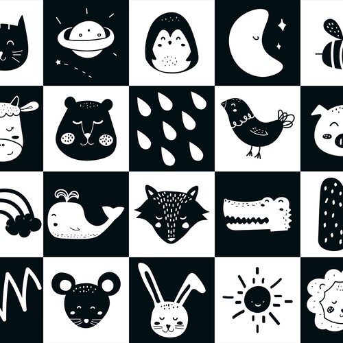 Baby Animal Pictures Black And White