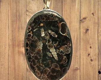 Turritella Jasper stone pendant with sterling silver frame and bail.
