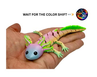 Color Shift Axolotl 3D Print | Articulated Axolotl Toy | Cute Desk Pet | Fidget Toy | Unique Gift | Pastel Axolotl | Color Changing PLA