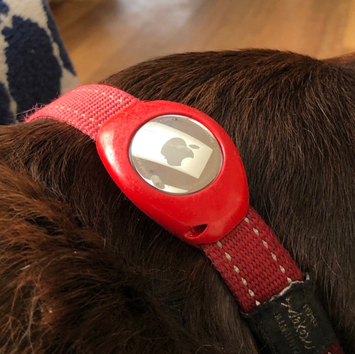 Apple Airtag Collar Holder in Colour Matte Black Etsy UK