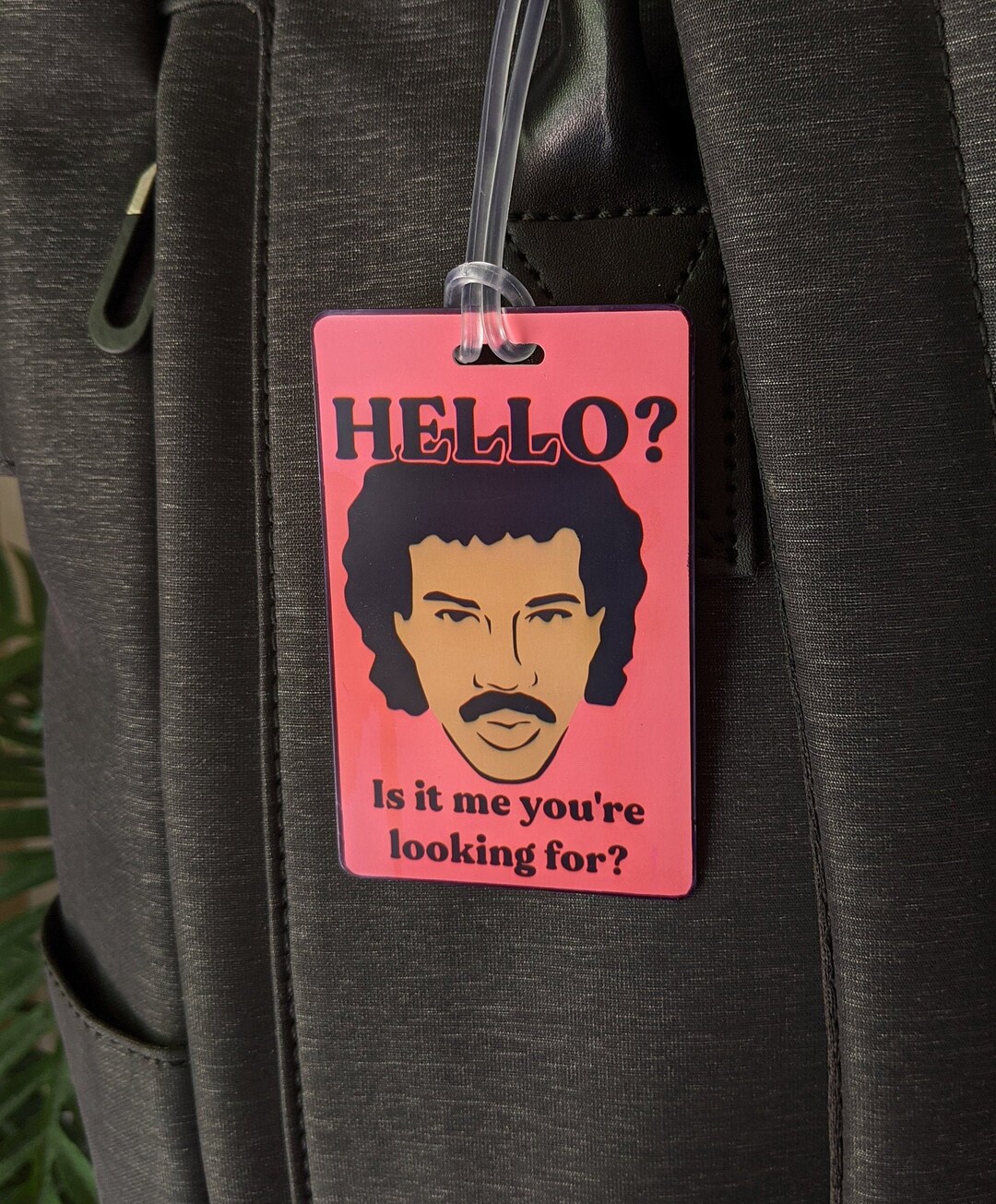 Hello is it me you re looking for lionel richie luggage tag funny bag
