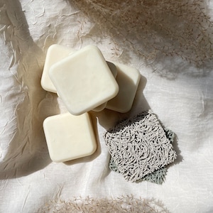 Soap Lift - Small Soap Lift - Square Soap Lift - Circular Soap Lift - Shampoo Bar Holder - Conditioner Bar Holder - Shampoo Bar Lift