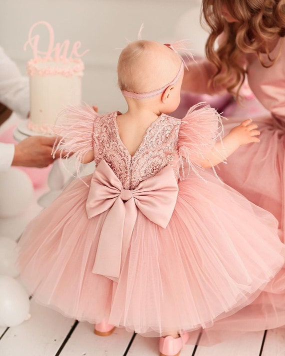 First Birthday Dress, Baby Girl Birthday Dress, Baby Girl Dress Special  Occasion, 1st Birthday Dress, Birthday Dress Girls Blush Dress 