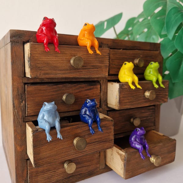 Rainbow Frog Miniature Shelf Sitter Figurines - Hand Painted Colourful Desk Decor (3cm/1in)