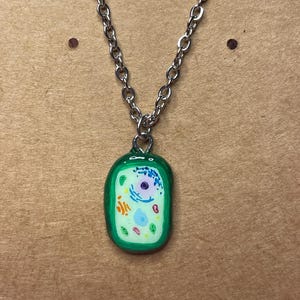 May include: A silver chain necklace featuring a pendant shaped like a plant cell. The green pendant showcases internal structures in various colours, including a purple nucleus and other organelles. The necklace is set against a brown backdrop.