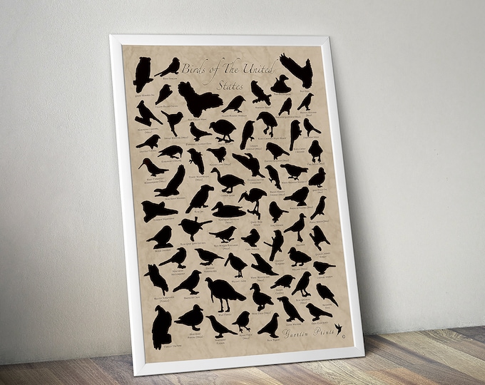 Bird Watching - SCRATCH OFF POSTER (18” x 24” - Made in North America) - Bird Poster