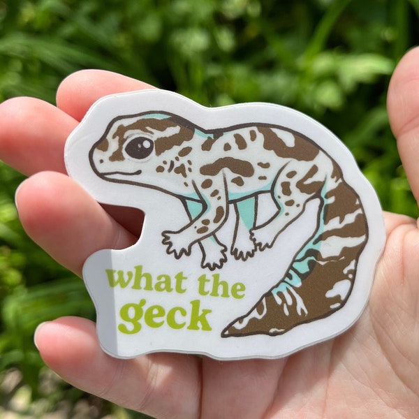 what the geck lizard - vinyl sticker | waterproof weatherproof matte | cute african fat tail leopard gecko reptiles