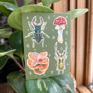 insetos e cogumelos - adesivo de vinil | à prova d'água e à prova de intempéries | besouros insetos cogumelos fungos bosque cottagecore