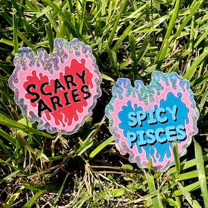 Könnte beinhalten: Zwei herzförmige Aufkleber mit glitzernden Rändern auf Gras. Einer zeigt "SCARY ARIES" in Rot, der andere "SPICY PISCES" in Blau. Beide haben einen rosa Hintergrund mit flammenartigen Designs.