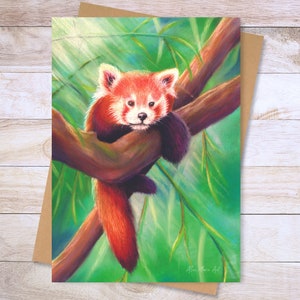 Red Panda Greetings Card for Any Occasion