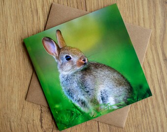 Rabbit greeting card, 6" x 6", blank inside for your own message.