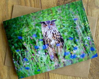 Eagle Owl greeting card, 7" x 5", blank inside