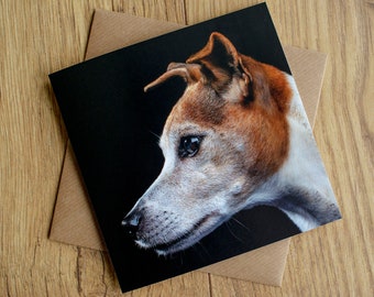 Jack Russell Terrier birthday card, greetings card, 6" x 6", blank inside.