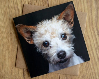 Jack Russell Terrier birthday card, greetings card, 6" x 6", blank inside.