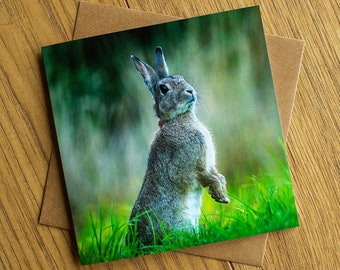 Rabbit greeting card, 6" x 6", blank inside for your own message.