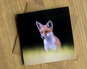 Red Fox Cub, beautiful wildlife greeting card