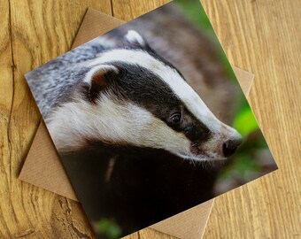 Badger Card, Badger Greeting Card, blank inside, 6" x 6".