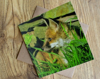 Fox cub greeting card, 6" x 6", created from one of my own wildlife images.