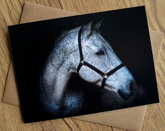 Irish draught horse birthday card, greetings card, 7" x 5", blank inside.