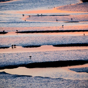 Birds at low tide, Burnham Overy Staithe, North Norfolk Coast, greeting card, 7 x 5, blank inside image 2