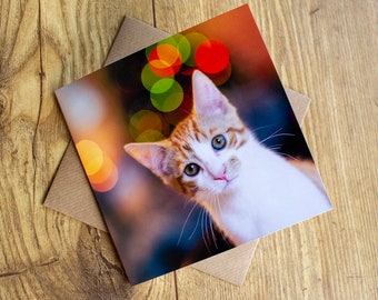 Cat Greeting Card, 6" x 6", blank inside.