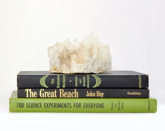 Paquete de libros antiguos en verde/negro, exhibición de estantes, decoración de bodas, puesta en escena en el hogar