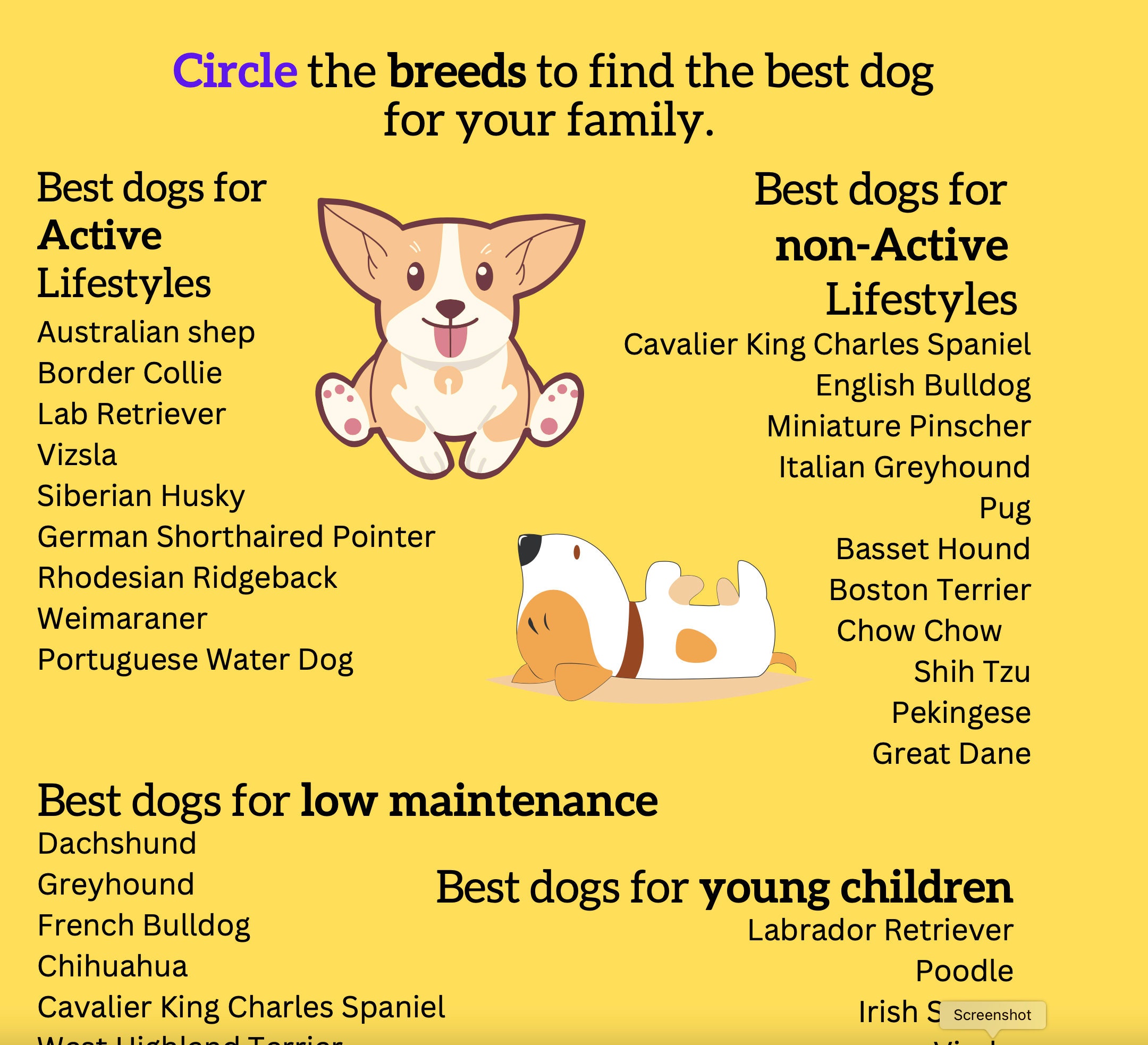 Printable Dog Adoption Organizer, Dog Adoption Printable Organizer ...
