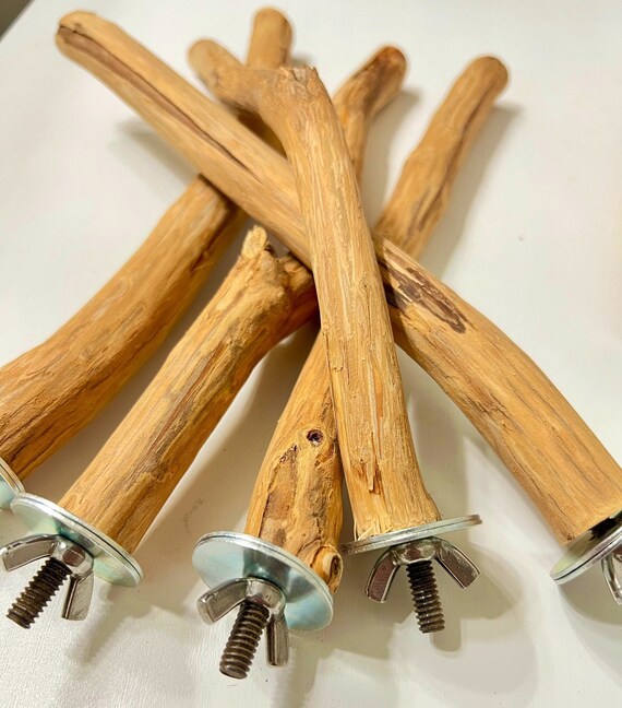Set of Five Natural Bird Perches Parrot Perch Parrot Play Etsy