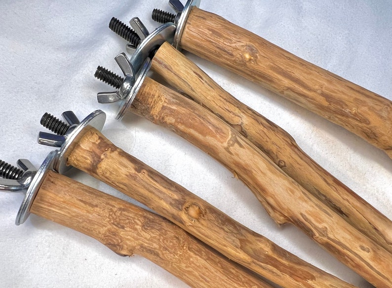 Set of Five Natural Bird Perches Parrot Perch Parrot Play Etsy