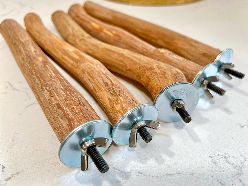 Set of Five Natural Bird Perches Parrot Perch Parrot Play Etsy