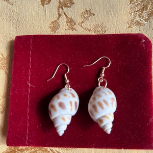 Philippines Filipino Sea shell, clams, starfish   Earrings, lightweight.