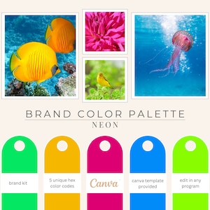Brand Color Palette, Hex Codes, Neon Palette, Branding Board, Color Scheme, Hot Pinks, Blues and Yellows, Neon