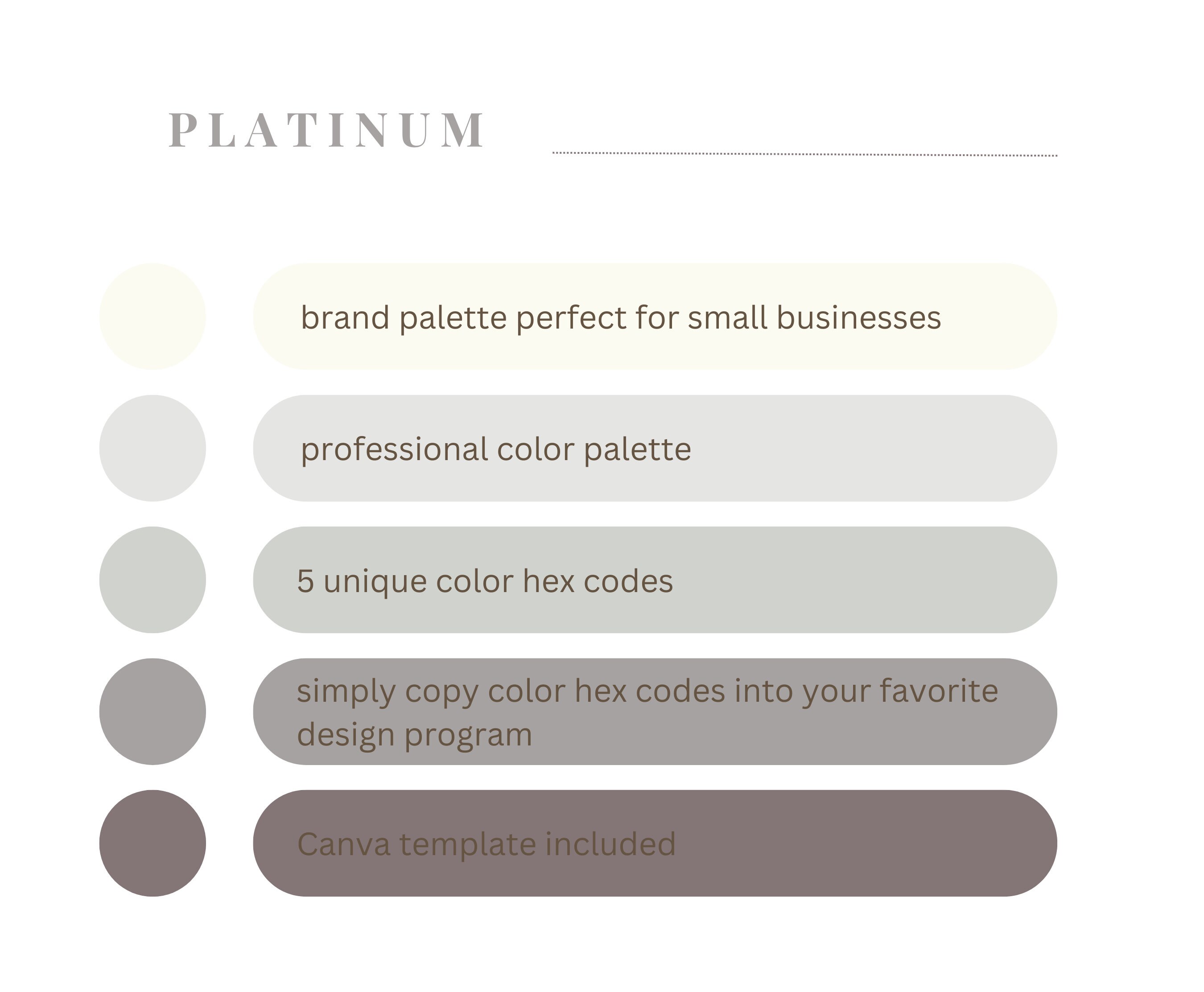 Brand Color Palette, Hex Codes, Branding Board, Color Scheme, Silver ...