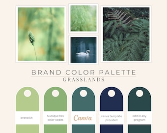 Brand Color Palette, Hex Codes, Branding Board, Color Scheme, ocean blue, ocean theme, Grasslands