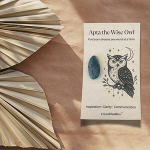 May include: Apt the Wise Owl card with a blue stone and an owl illustration. The card reads "Fuel your dreams one word at a time." and "Inspiration - Clarity - Communication." The background is a neutral brown with dried palm leaves.