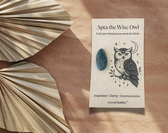 Cute Crystal Healing Gift | Apta the Wise Owl Crystal Companion | Gift for Clarity, Motivation & Growth | Cute Crystal Pet Support Animal