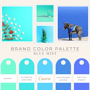Markenfarbpalette, Hex-Codes, Branding Board, Farbschema, Schattierungen von Karibikblau, blauer Nebel
