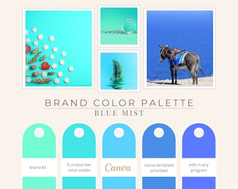 Brand Color Palette, Hex Codes, Branding Board, Color Scheme, Shades of Caribbean Blue, Blue Mist