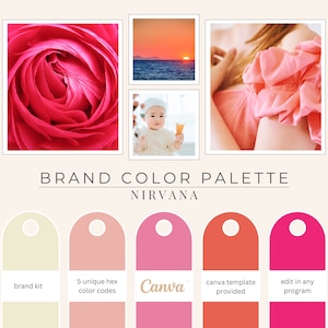 Brand Color Palette, Hex Codes, Branding Board, Color Scheme, Party Wedding Colors, Hot Pink, Bright Orange, Cream & Pale Pinks, Nirvana