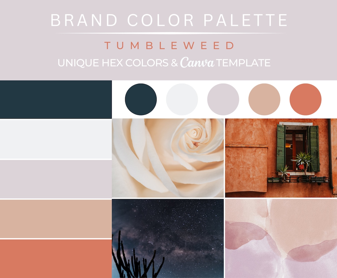 Brand Color Palette, Hex Codes, Mediterranean Palette, Branding Board ...